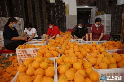 扶貧&ldquo;832&rdquo;平臺為巴東農副產品打開銷路