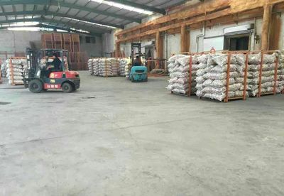 李大虎|16688005180 |山東省濟寧市金鄉縣大蒜代辦代收經紀人|