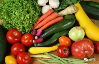 她是90后,用2年時間打造了中國最大農(nóng)業(yè)體驗項目