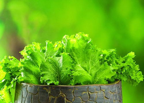 蔬菜上殘留的農藥會影響健康 如何降低殘留量