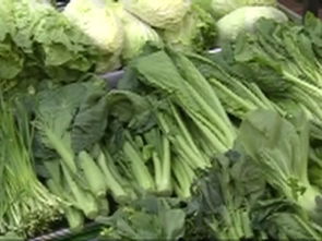 10月梅江區(qū)農(nóng)產(chǎn)品質(zhì)量安全監(jiān)測(cè)全部合格