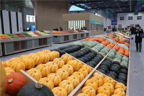 青島農(nóng)業(yè) 國(guó)際客廳 開(kāi)門(mén)納客,2022年建成后預(yù)計(jì)可實(shí)現(xiàn)年產(chǎn)值約120億元