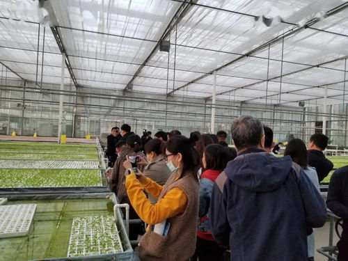 廊坊百姓的數(shù)字生活 重點(diǎn)網(wǎng)絡(luò)媒體集中采訪(fǎng)行走進(jìn)永清