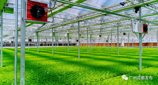 科技興農①丨綠沃川:發(fā)展現(xiàn)代智慧農業(yè) 帶動農民就業(yè)增收