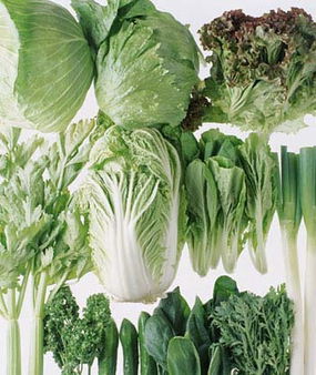 吃蔬菜減肥，為何反而越吃越肥？